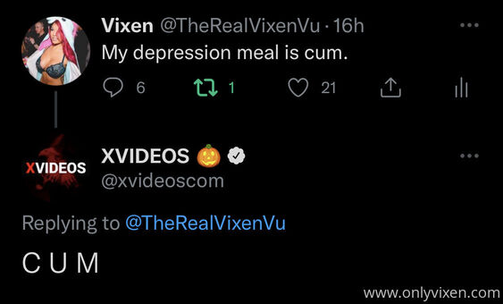 Vixenvu