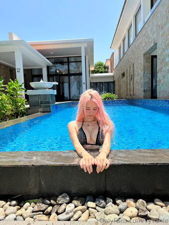 Vyvan Le