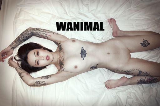 Wanimal Models