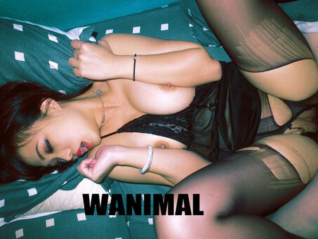 Wanimal Models