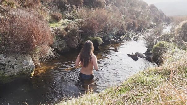 WildBeare