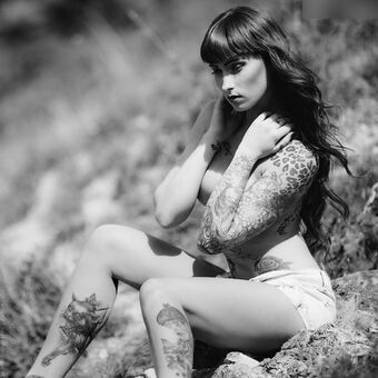 Wildcat Ink