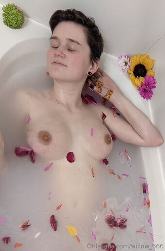 willow_666