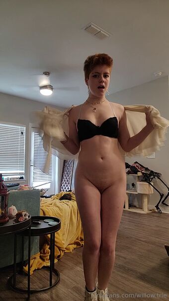 Willow Trie